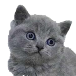 Picture of Doris
